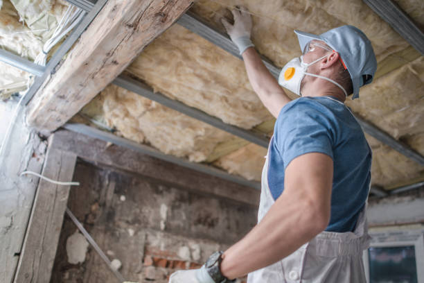 Best Insulation Installation Services in Hideo, UT